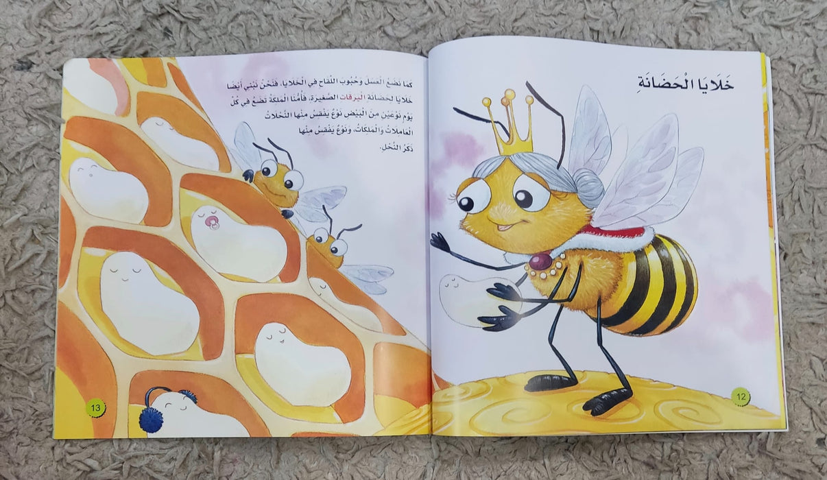 The world of bees