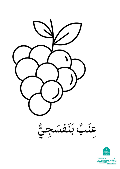 Fruits in Arabic Colouring Book (A Digital Resource)